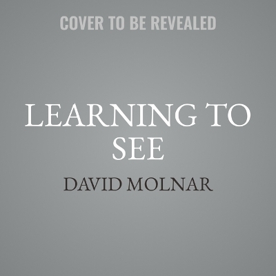 Learning to See - David Molnar