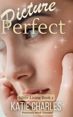 Picture Perfect - Katie Charles