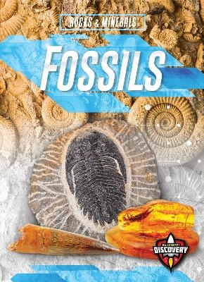 Fossils - Patrick Perish