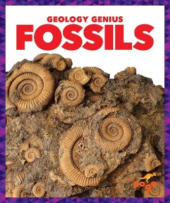 Fossils - Rebecca Pettiford