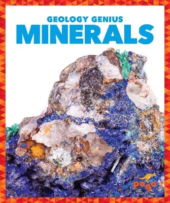 Minerals - Rebecca Pettiford