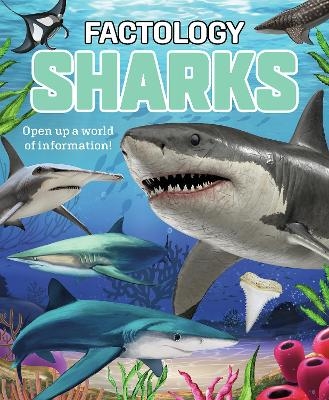 Factology: Sharks -  Button Books