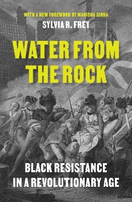 Water from the Rock - Sylvia R. Frey