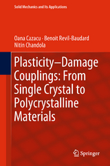 Plasticity-Damage Couplings: From Single Crystal to Polycrystalline Materials - Oana Cazacu, Benoit Revil-Baudard, Nitin Chandola