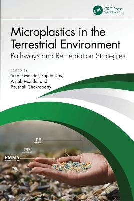 Microplastics in the Terrestrial Environment - 