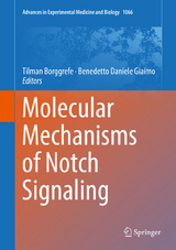 Molecular Mechanisms of Notch Signaling - 