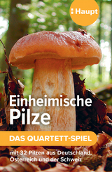 Einheimische Pilze – das Quartett-Spiel