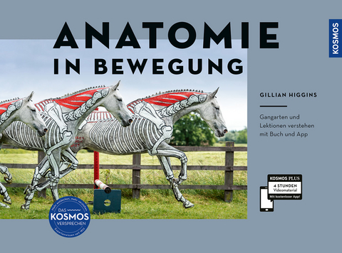 Anatomie in Bewegung - Gillian Higgins