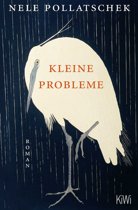 Kleine Probleme - Nele Pollatschek