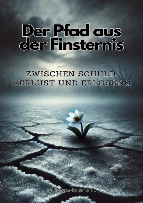 Der Pfad aus der Finsternis Zwischen Schuld, Verlust und Erlösung - N. Rose-Marie k.