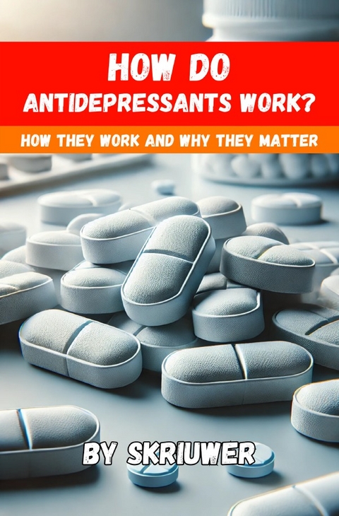 How Do Antidepressants Work? - Auke de Haan