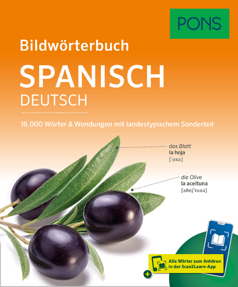 PONS Bildwörterbuch Spanisch