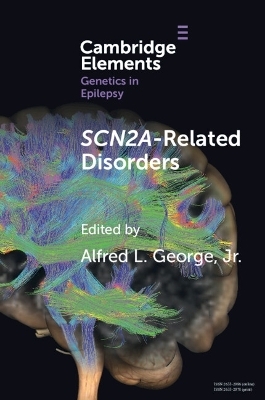 SCN2A-Related Disorders - Megan Abbott, Kevin J. Bender, Andreas Brunklaus, Scott Demarest