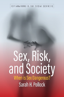 Sex, Risk, and Society - Sarah H. Pollock