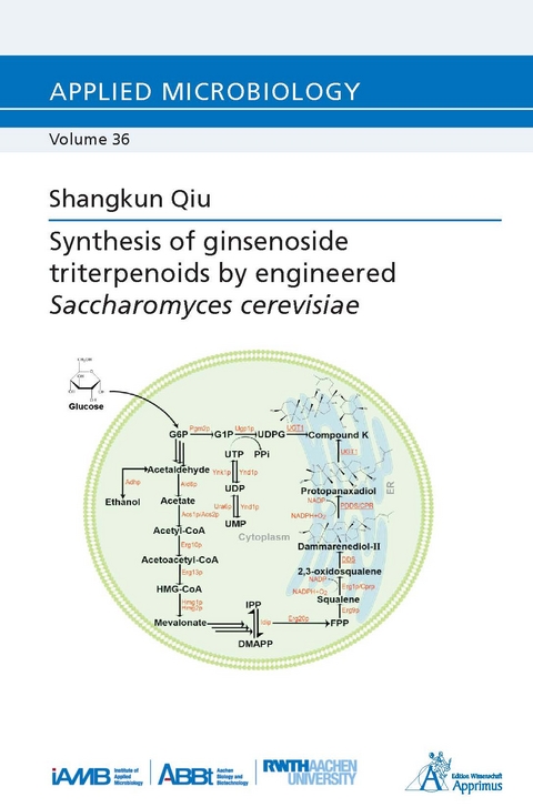 Synthesis of ginsenoside triterpenoids by engineered Saccharomyces cerevisiae - Shangkun Qiu