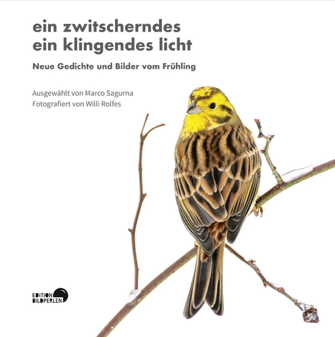 ein zwitscherndes ein klingendes licht - Michael ­Augustin, Ulrich ­Beck, Sujata Bhatt, Günther ­Butkus, Bela Chekurishvili, Kurt Drawert, Reimer Boy Eilers, Patricia Falkenburg, Kersten Flenter, Elena Frolowa, Sylvia Geist, Sabine Göttel, Klaus Rainer Goll, Anna Gulczyńska, Annette Hagemann, Caroline Hartge, Judith Hennemann, Kerstin Hensel, Stefan Heuer, Norbert Hummelt, Nikola Huppertz, Jan Koneffke, Andrej Korowin, Matthias Kröner, Anton G. Leitner, Kathrin Niemela, Hellmuth Opitz, Ilma Rakusa, Reinhard Reich, Jan Röhnert, Pater Georg Maria Roers SJ, Ralf-Rainer Rygulla, Anna Sanner, Sabine Schiffner, Sielaff Volker, Jörg Stein, Leander Sukov, Sergej Tenjatnikow, Gabriele Trinckler, Orhan Veli, Olaf Velte, Achim Wagner, Thomas Weiß, Martin Westenberger, Ron Winkler