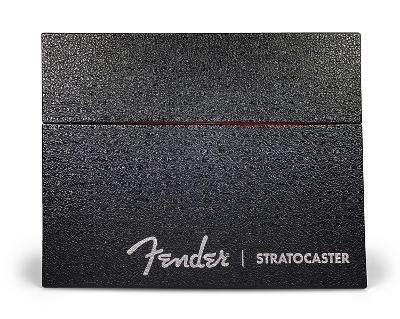 Fender Stratocaster 70 Years Deluxe Box Edition - Dave Hunter