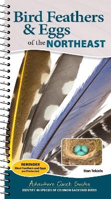 Bird Feathers & Eggs of the Northeast - Stan Tekiela