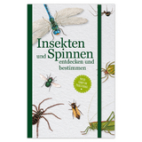 Insekten und Spinnen entdecken und bestimmen