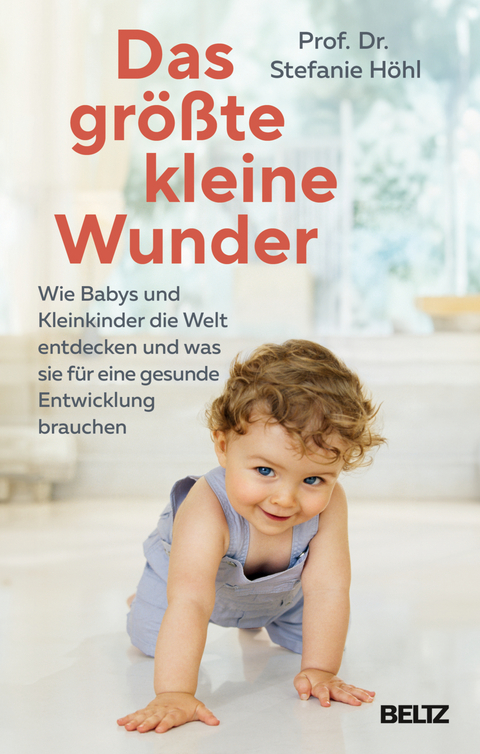 Das größte kleine Wunder - Stefanie Höhl