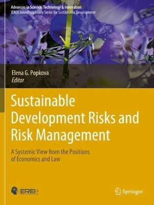 Sustainable Development Risks and Risk Management - 