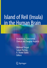 Island of Reil (Insula) in the Human Brain - 