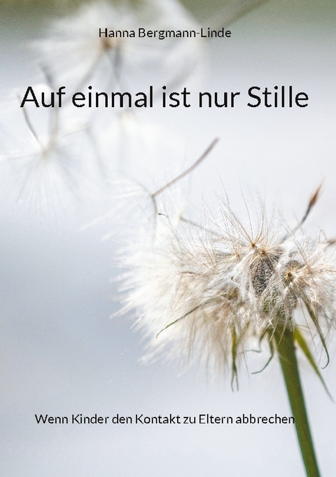 Auf einmal ist nur Stille - Hanna Bergmann-Linde