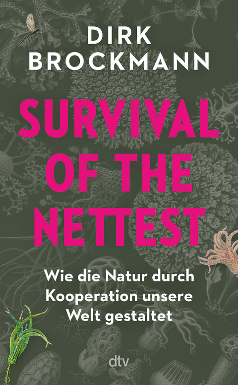 Survival of the Nettest - Dirk Brockmann