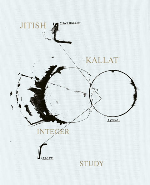 Jitish Kallat. Integer Study - 