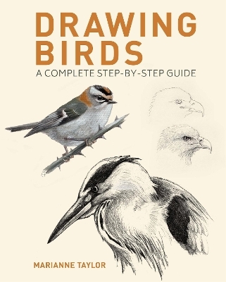 Drawing Birds - Marianne Taylor