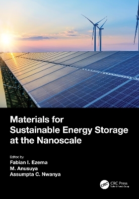 Materials for Sustainable Energy Storage at the Nanoscale - 