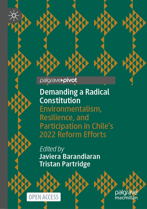 Demanding a Radical Constitution - 