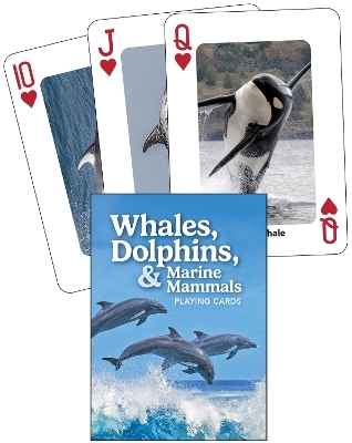 Whales, Dolphins, and Marine Mammals Playing Cards - Stan Minasian