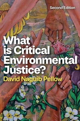 What is Critical Environmental Justice? - David Naguib Pellow