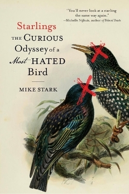 Starlings - Mike Stark