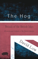 Hog - Breeds of the British Isles (Domesticated Animals of the British Islands) -  David Low