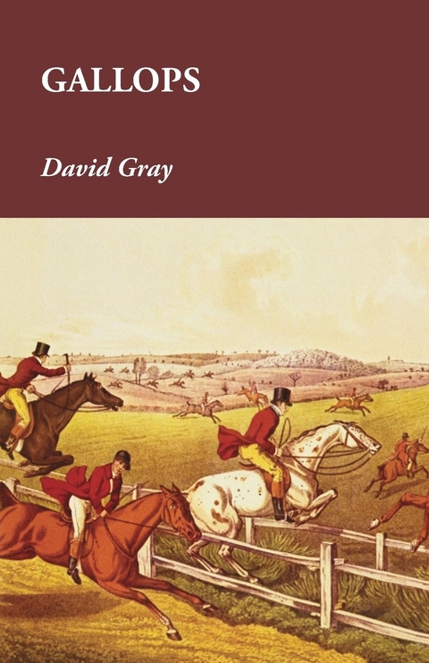 Gallops -  David Gray