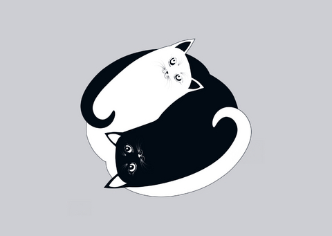 Postkarten Katzen Ying Yang