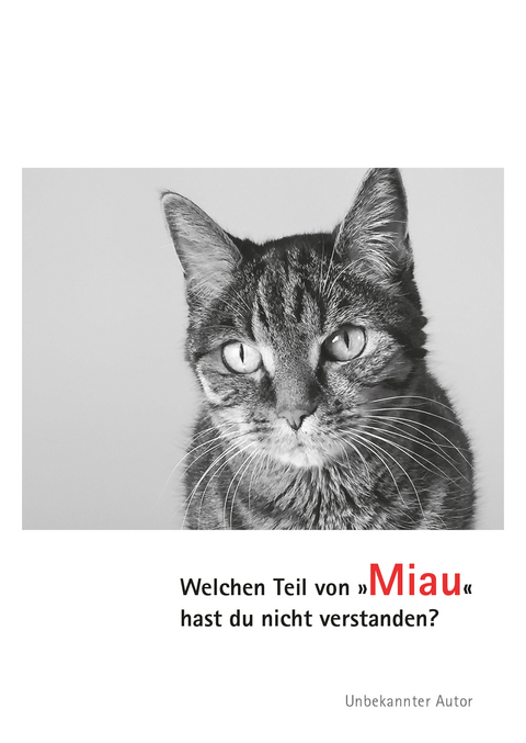 Postkarten Katzen Miau