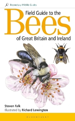 Field Guide to the Bees of Great Britain and Ireland - Steven Falk