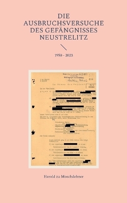 Die Ausbruchsversuche des Gefängnisses Neustrelitz - Herold zu Moschdehner