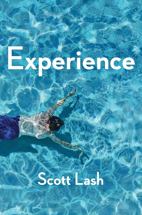 Experience - Scott Lash