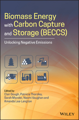 Biomass Energy with Carbon Capture and Storage (BECCS) - 