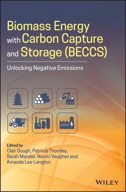 Biomass Energy with Carbon Capture and Storage (BECCS) - 