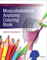 Musculoskeletal Anatomy Coloring Book - Muscolino, Joseph E.