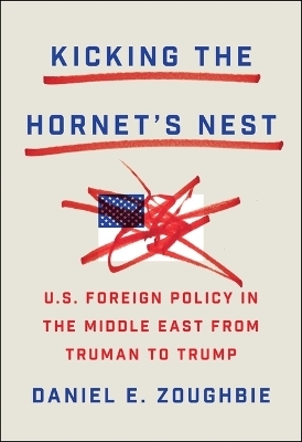 Kicking the Hornet's Nest - Daniel Zoughbie