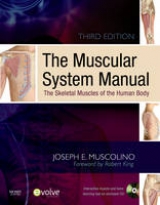 The Muscular System Manual - Muscolino, Joseph E.