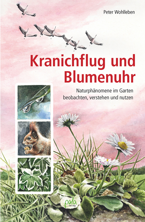 Kranichflug und Blumenuhr - Peter Wohlleben