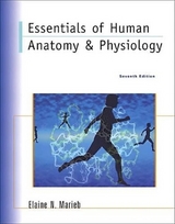 Essentials of Human Anatomy & Physiology - Marieb, Elaine N.