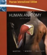 Human Anatomy - Martini, Frederic H.; Timmons, Michael J.; Tallitsch, Robert B.